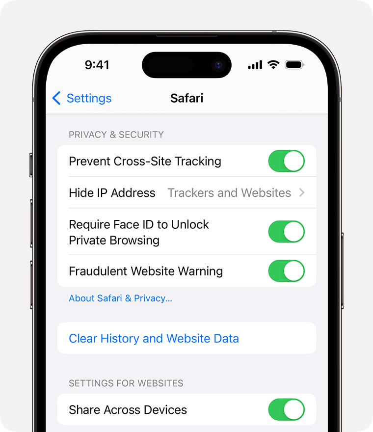 Screenshot showing the Clear History and Website Data option in Safari settings on an iPhone