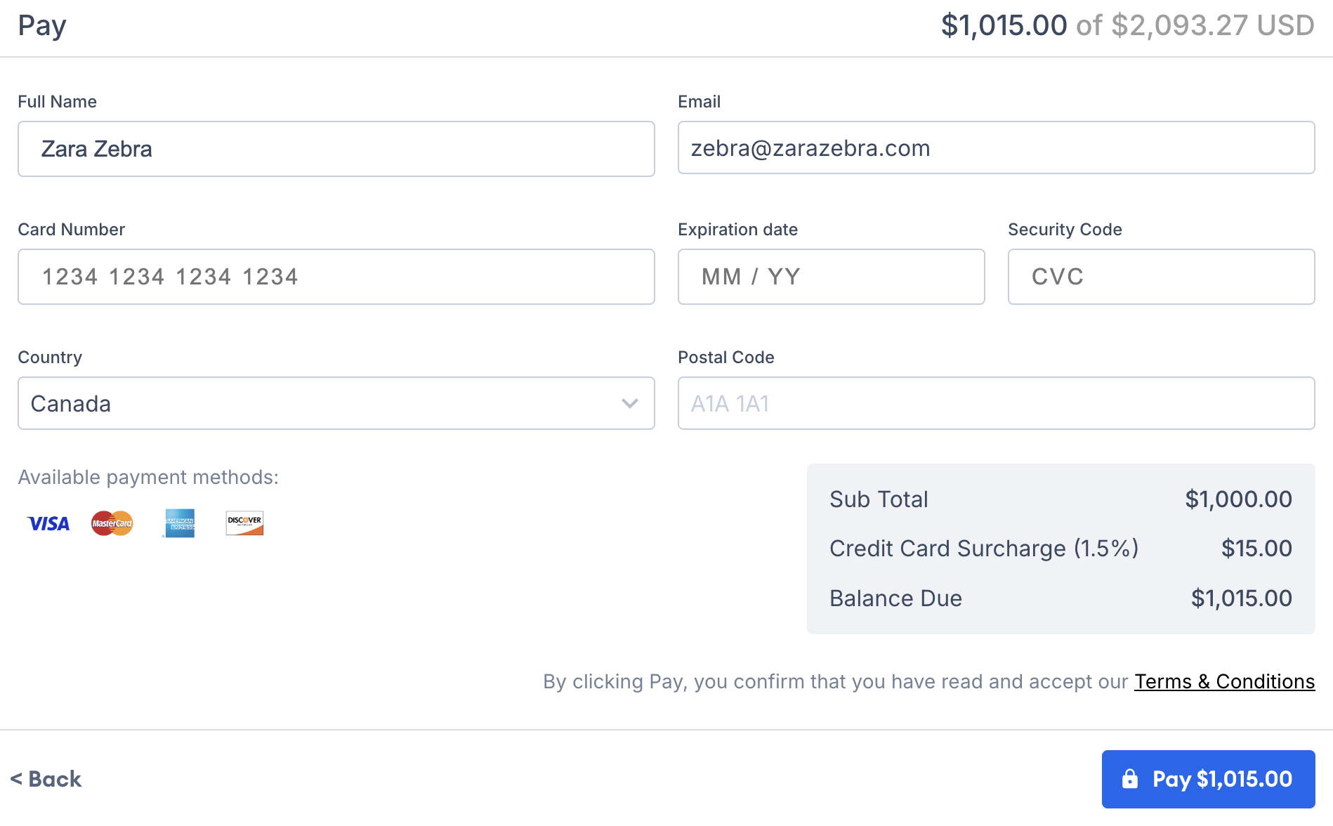 Screenshot showing the credit card details entry form for processing a manual payment